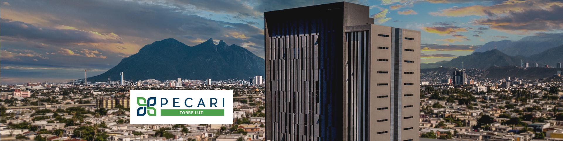 WEB PECARI SERVICIOS